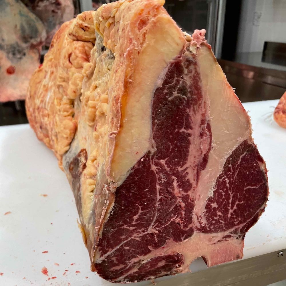 T-bone Tamaco vista laterale