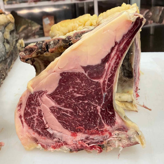 Galloway Fisterra Bovine World Costata o T-bone (secondo disponibiltà)