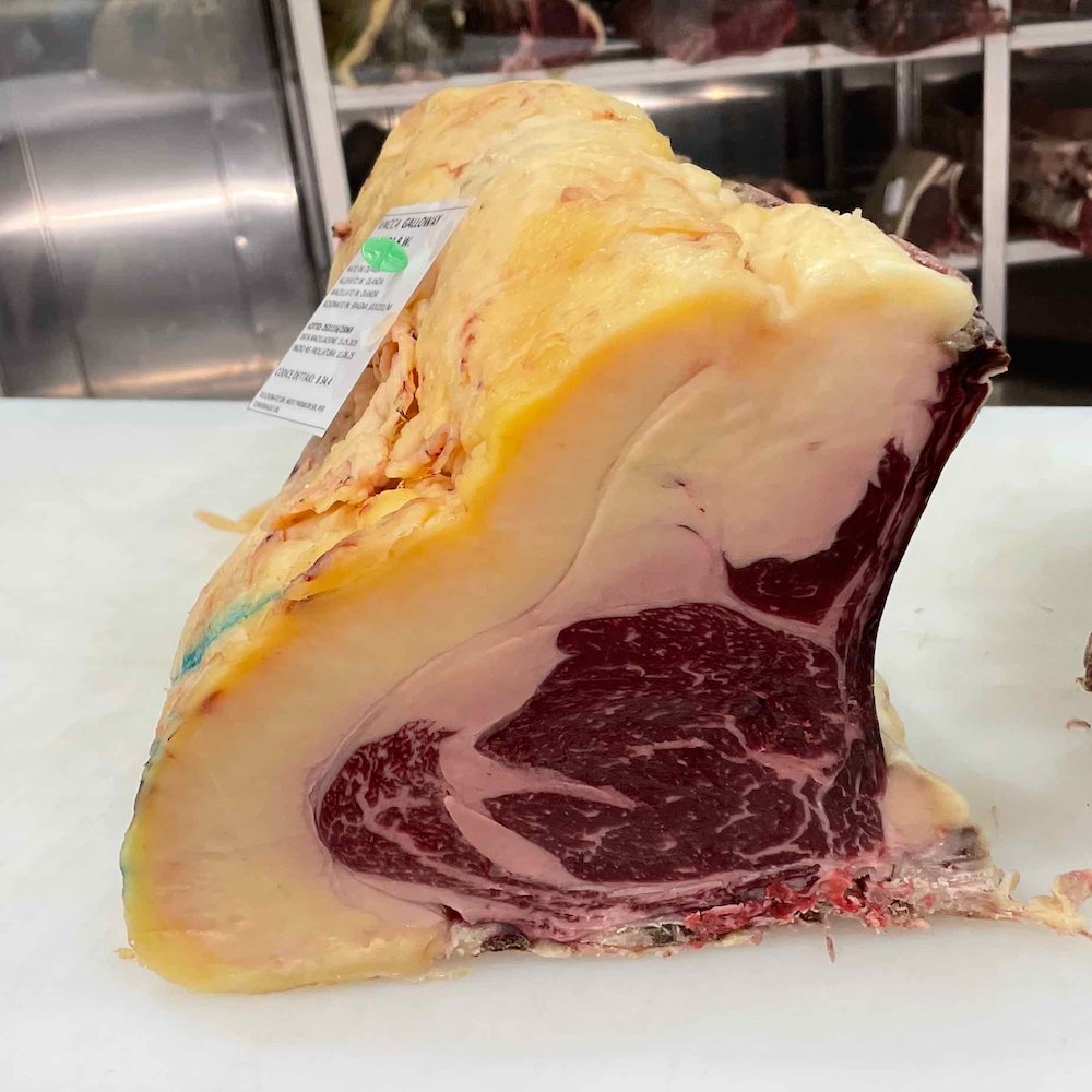 Galloway Fisterra Bovine World Costata o T-bone (secondo disponibiltà)