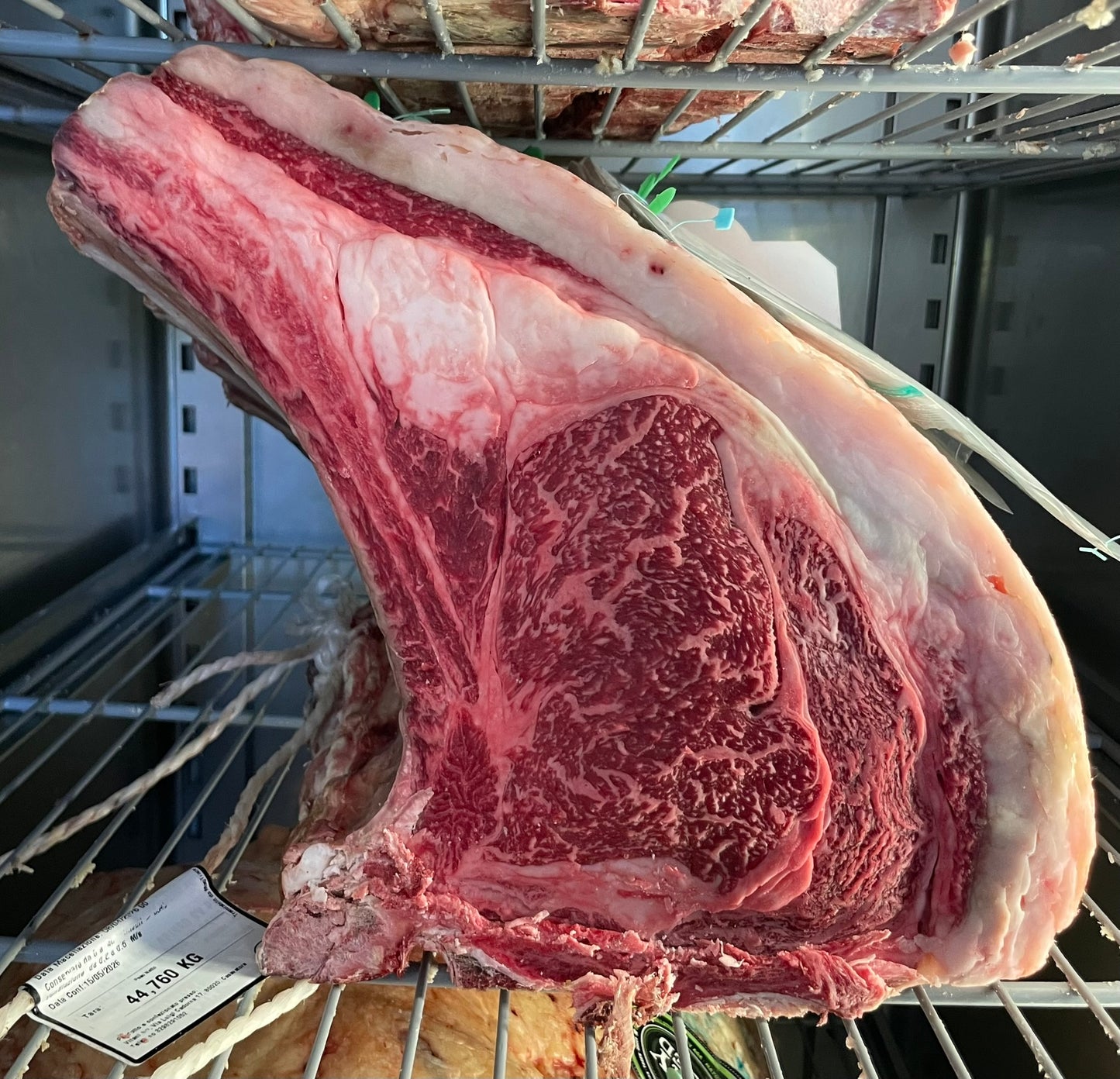 Wagyu Spagna fullblood A5 Ushido Costata o T-bone ( secondo disponibiltà )