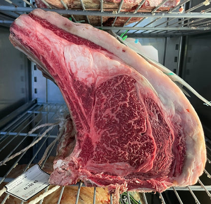 Wagyu Spagna fullblood A5 Ushido Costata o T-bone ( secondo disponibiltà )