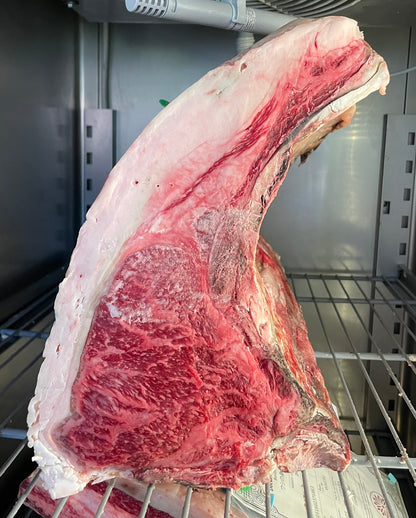 Wagyu Spagna fullblood A5 Ushido Costata o T-bone ( secondo disponibiltà )