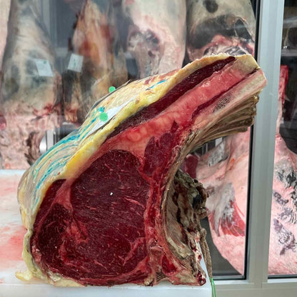 Costata di Vacca Asturiana de los Valles vista frontale