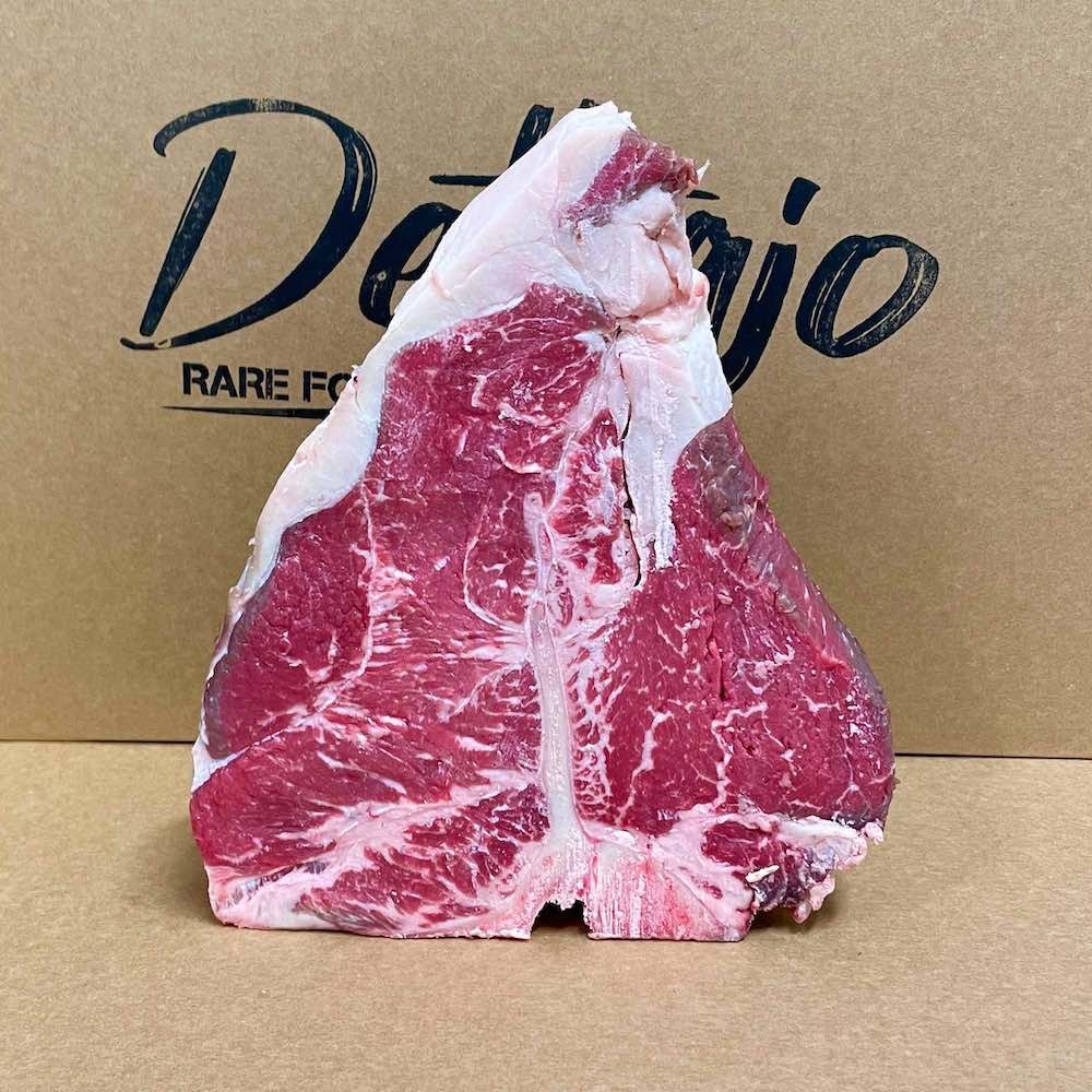 T-Bone di Celtica Legend vista frontale