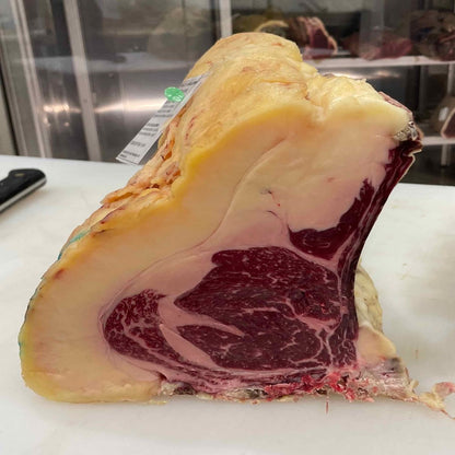 Galloway Fisterra Bovine World Costata o T-bone (secondo disponibiltà)
