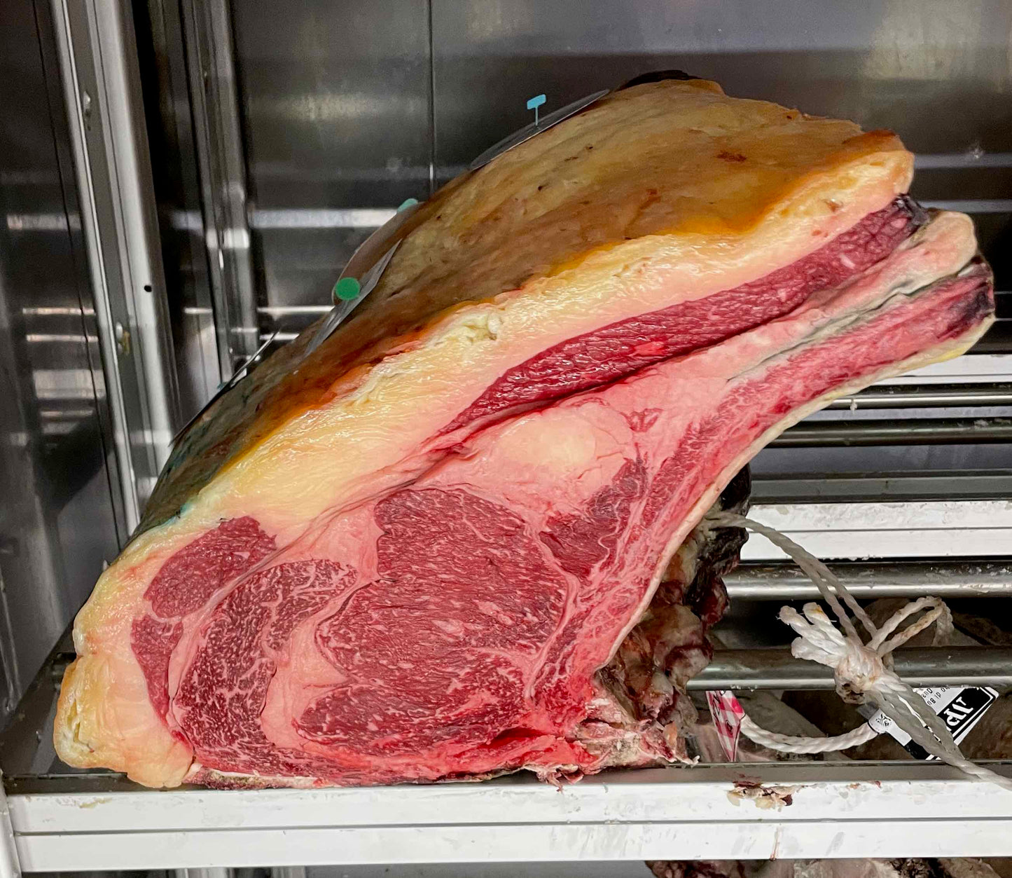 Bue Gallego Costata o T-bone ( secondo disponibiltà )